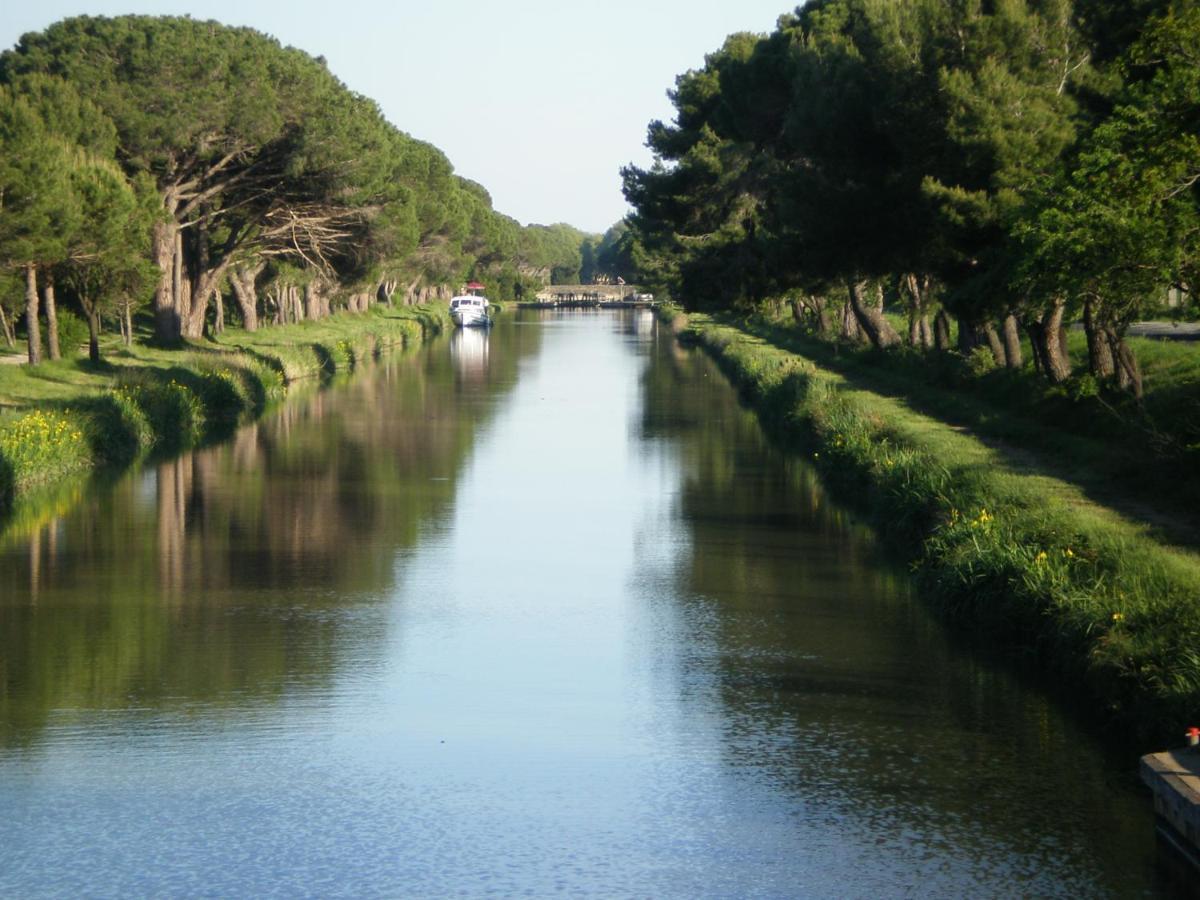 Domaine De L'Herbe Sainte Mirepeisset Εξωτερικό φωτογραφία