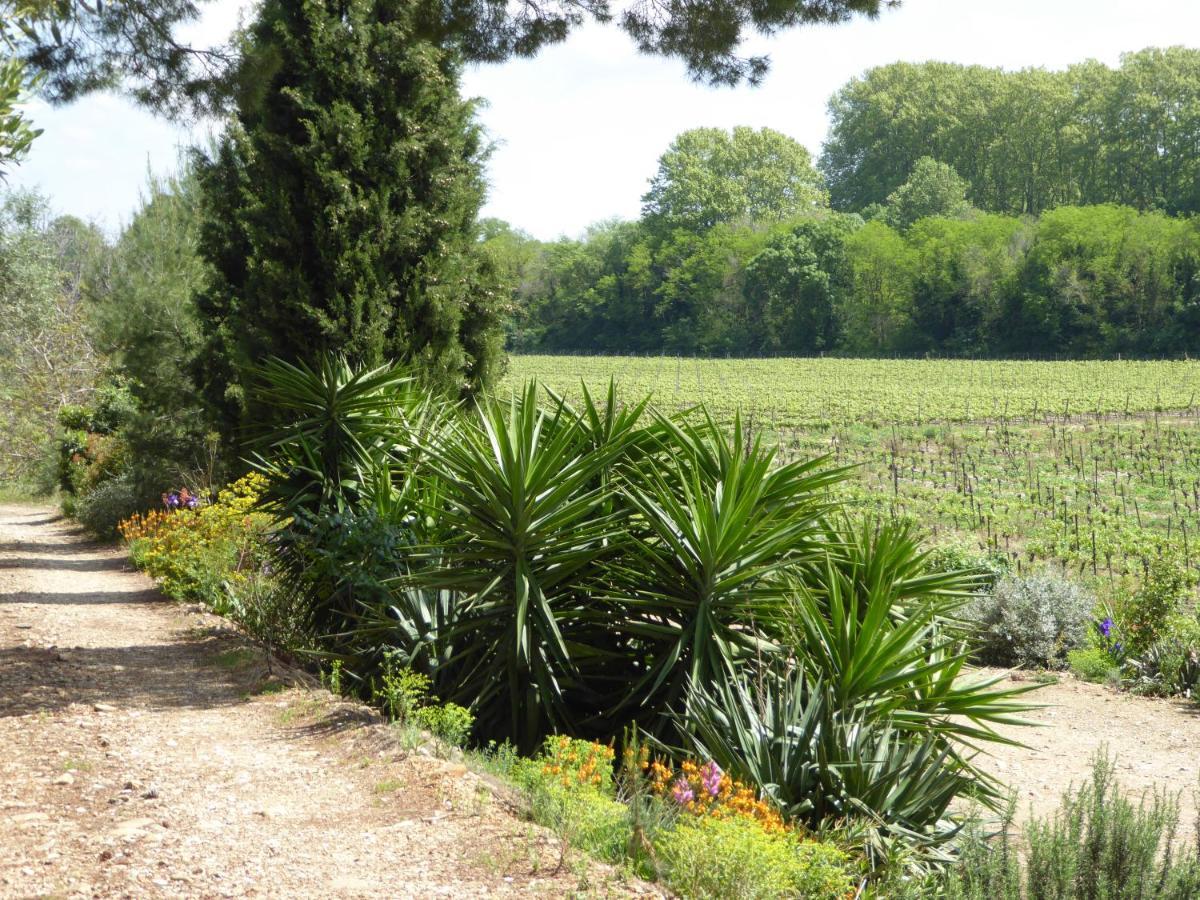 Domaine De L'Herbe Sainte Mirepeisset Εξωτερικό φωτογραφία