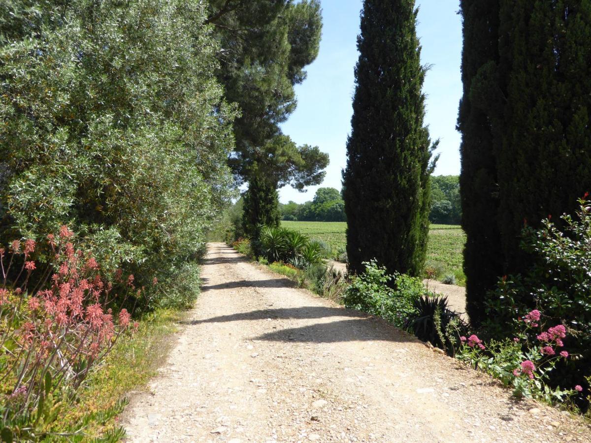 Domaine De L'Herbe Sainte Mirepeisset Εξωτερικό φωτογραφία