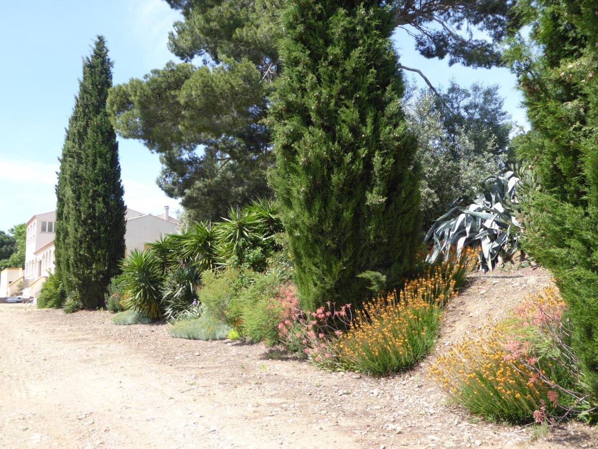 Domaine De L'Herbe Sainte Mirepeisset Εξωτερικό φωτογραφία