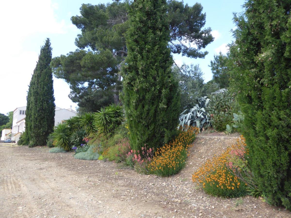 Domaine De L'Herbe Sainte Mirepeisset Εξωτερικό φωτογραφία