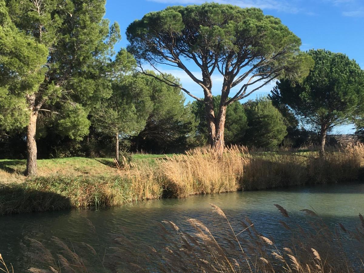 Domaine De L'Herbe Sainte Mirepeisset Εξωτερικό φωτογραφία