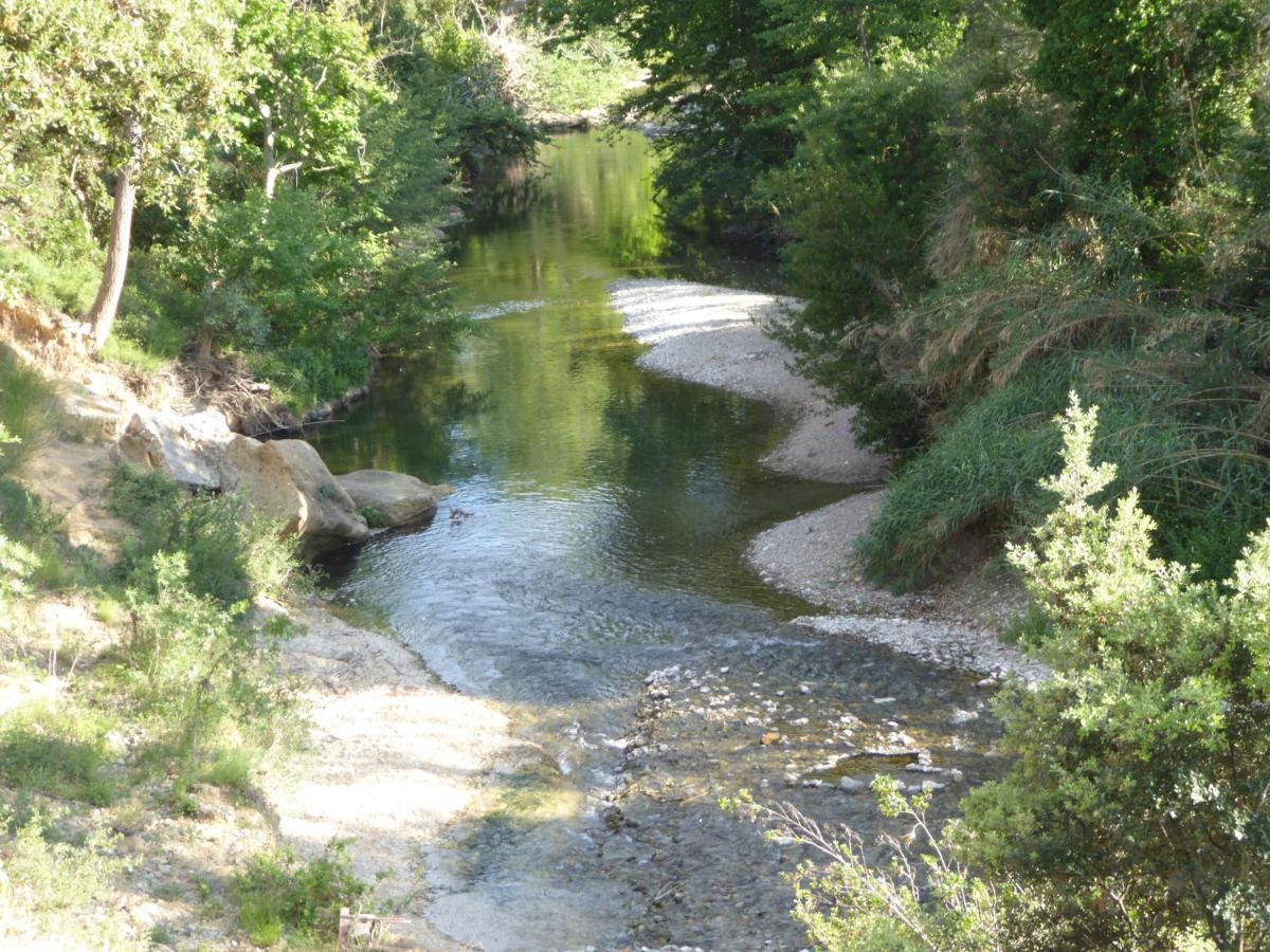 Domaine De L'Herbe Sainte Mirepeisset Εξωτερικό φωτογραφία