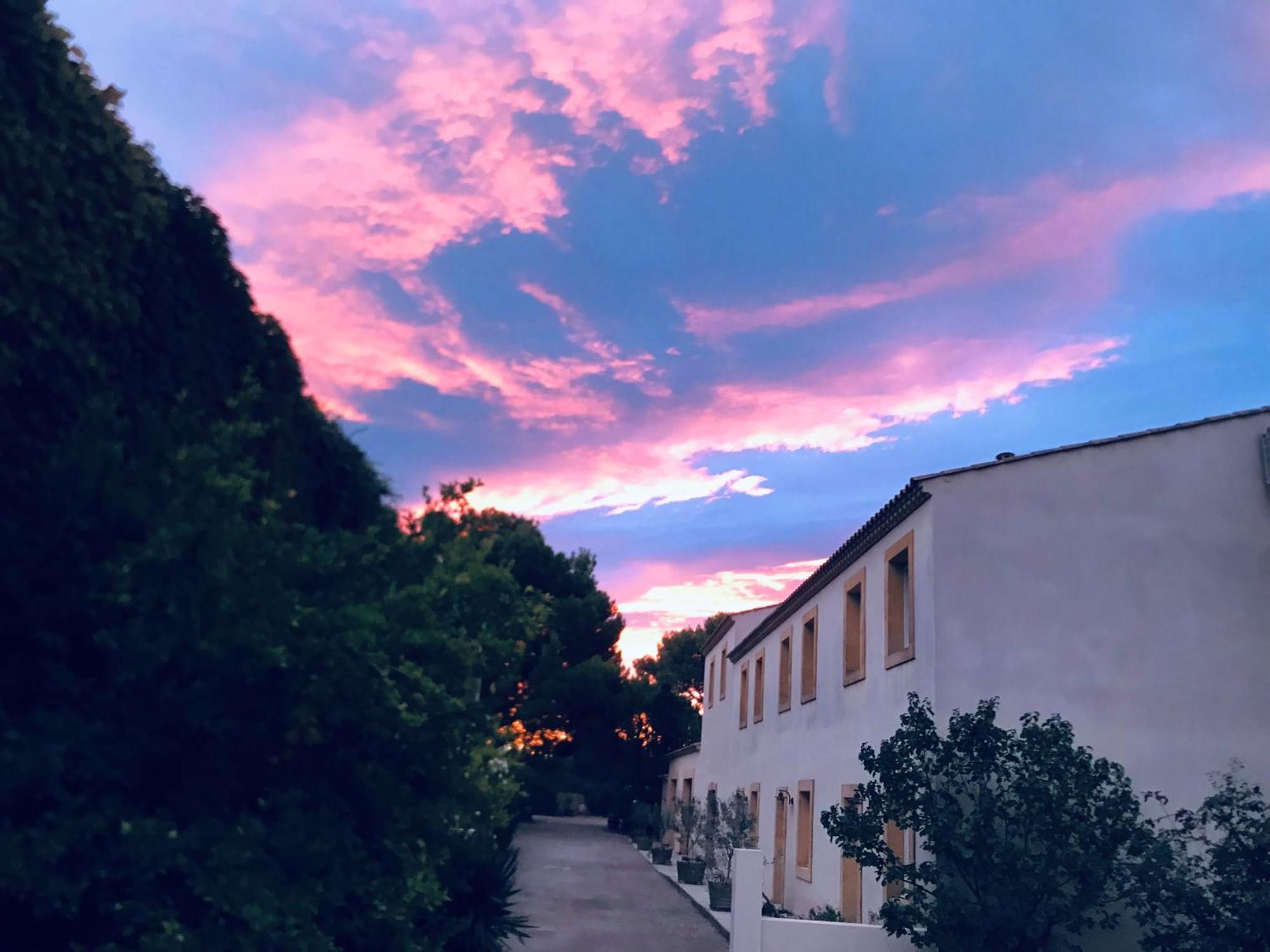 Domaine De L'Herbe Sainte Mirepeisset Εξωτερικό φωτογραφία