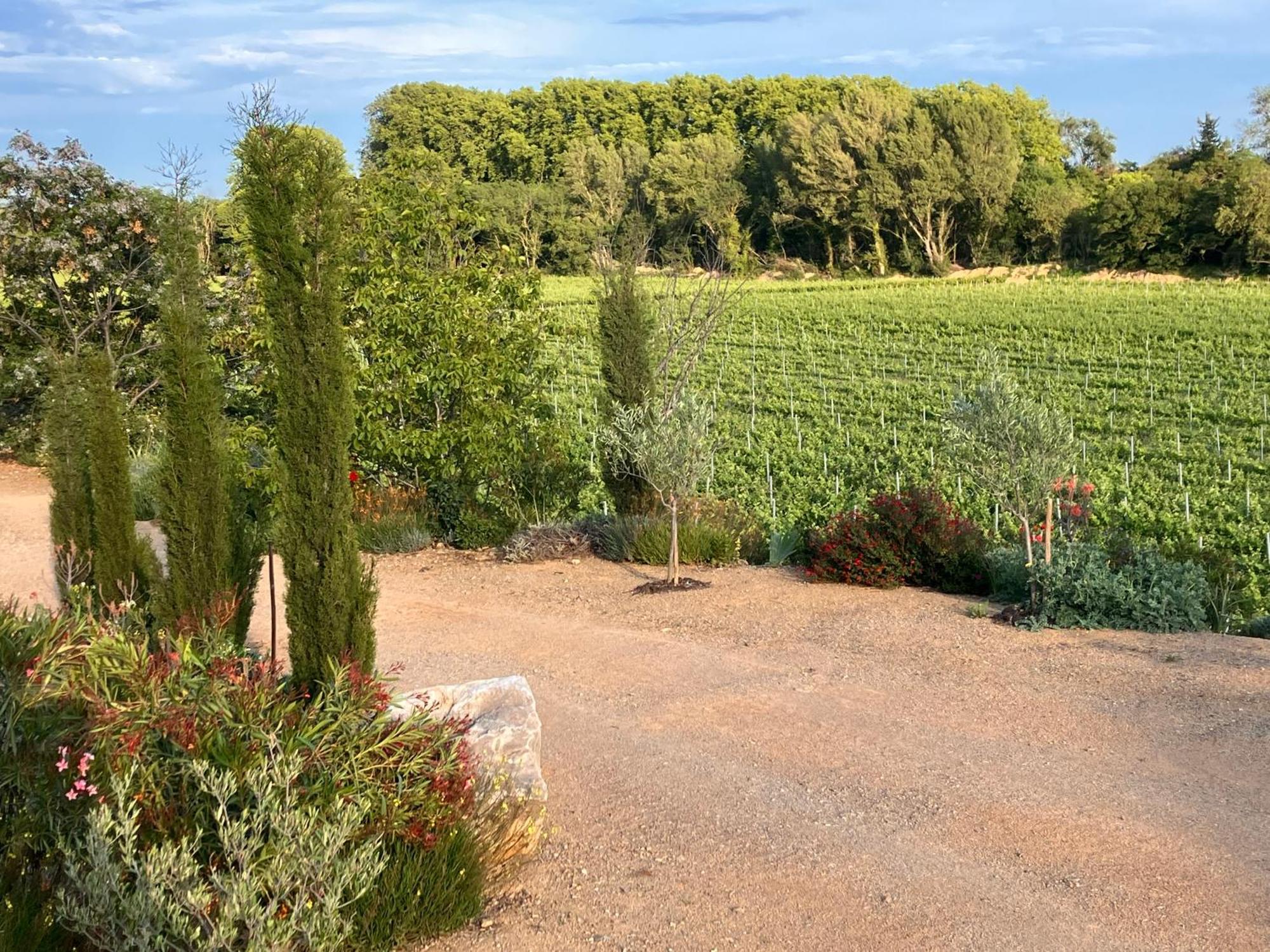 Domaine De L'Herbe Sainte Mirepeisset Εξωτερικό φωτογραφία