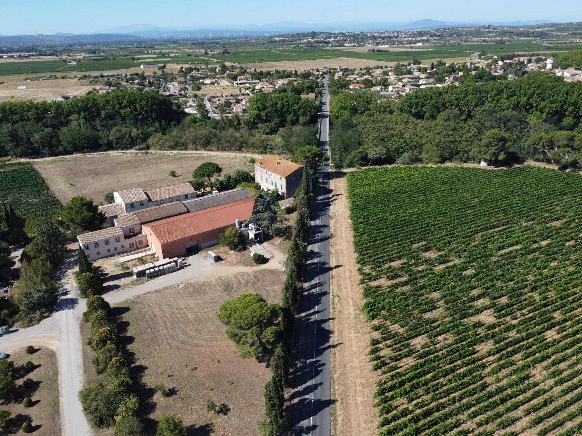 Domaine De L'Herbe Sainte Mirepeisset Εξωτερικό φωτογραφία