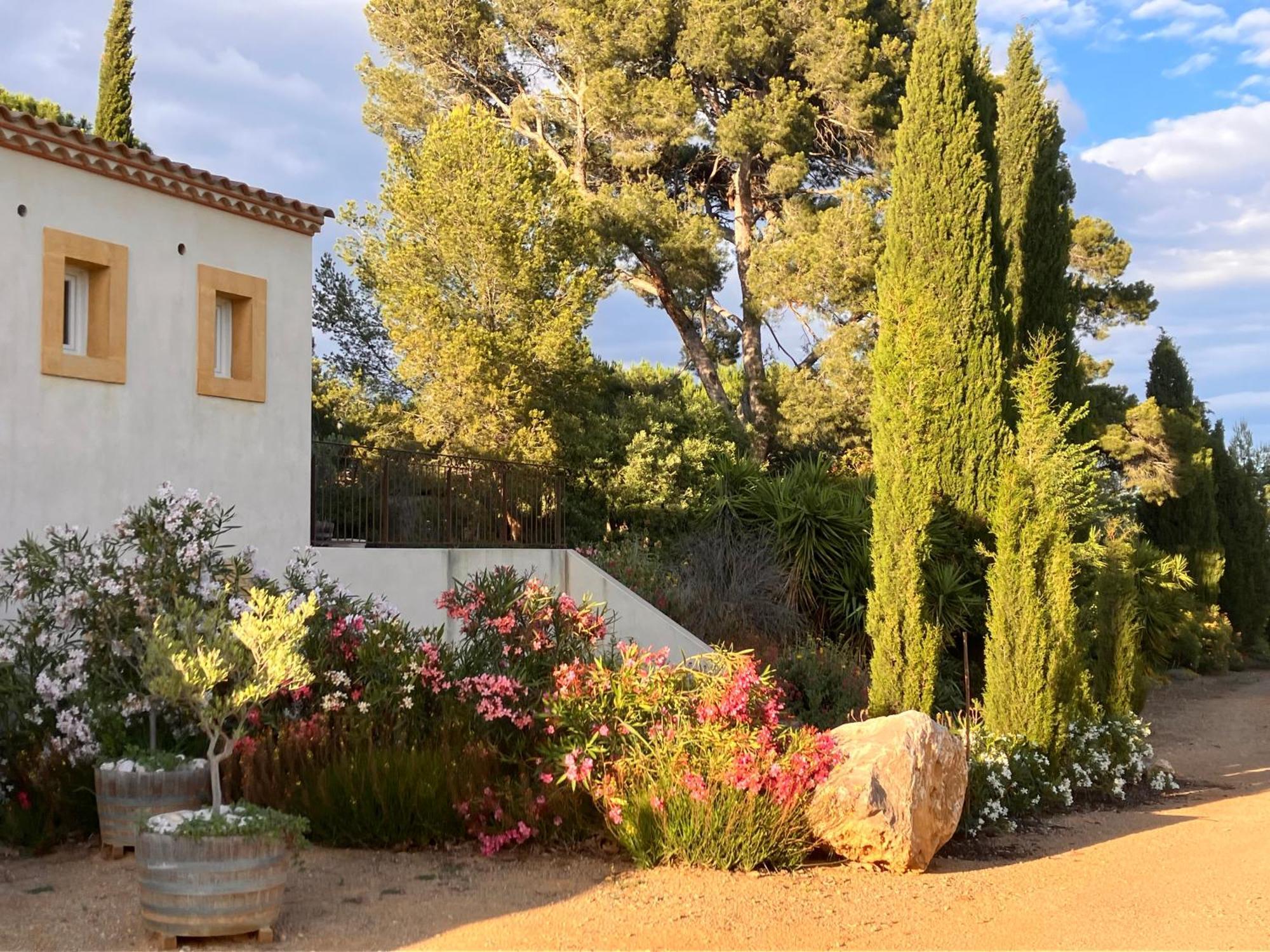 Domaine De L'Herbe Sainte Mirepeisset Εξωτερικό φωτογραφία
