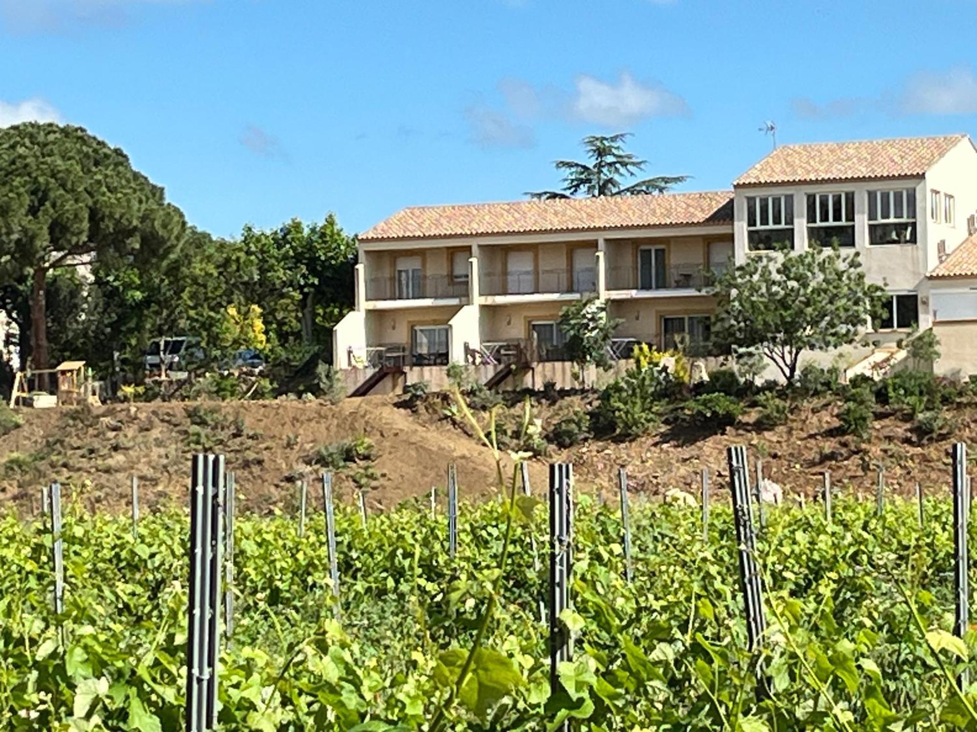 Domaine De L'Herbe Sainte Mirepeisset Εξωτερικό φωτογραφία